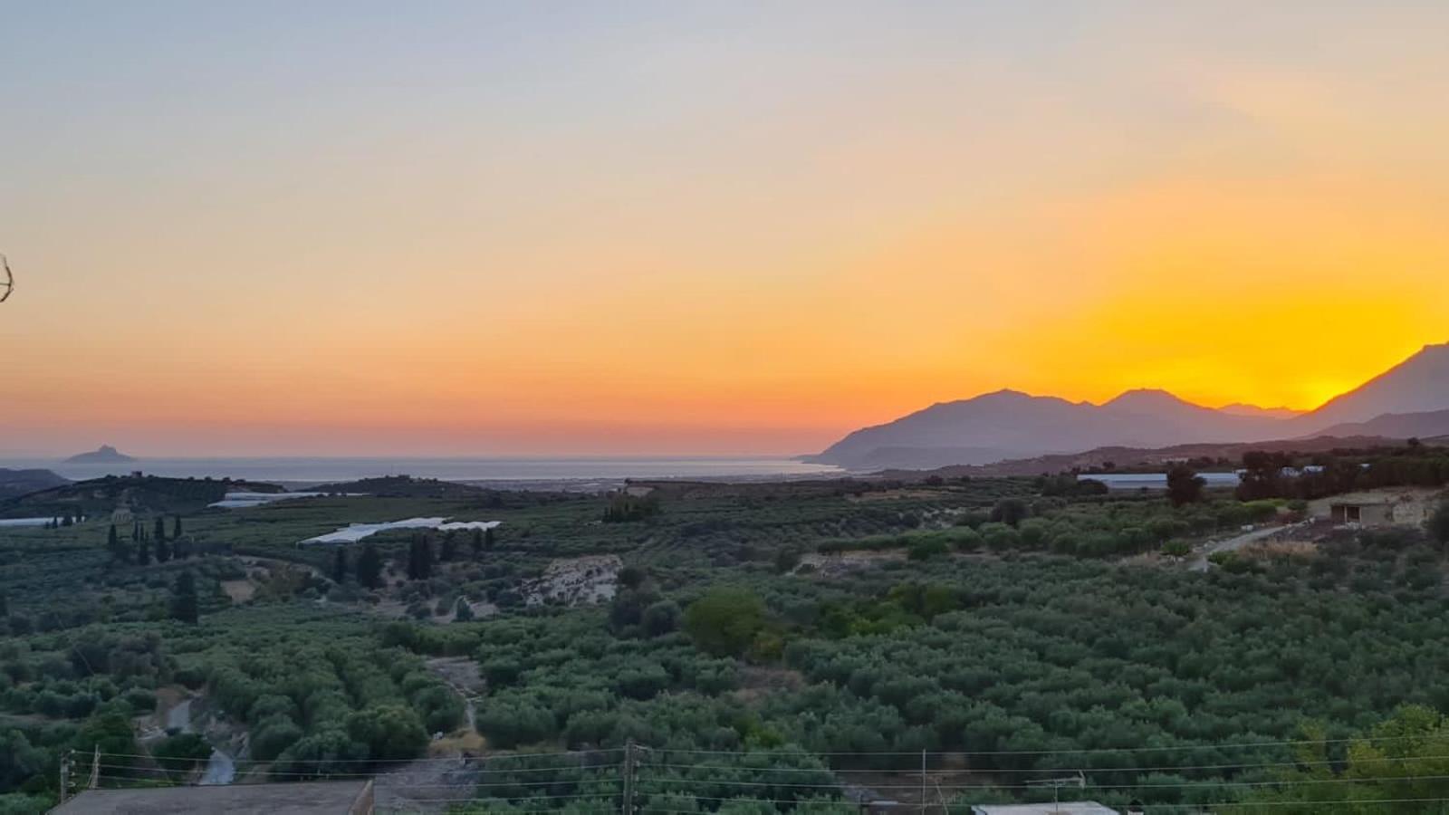Villa Kamelia-Renovated Old House-South Crete Galia Exterior photo